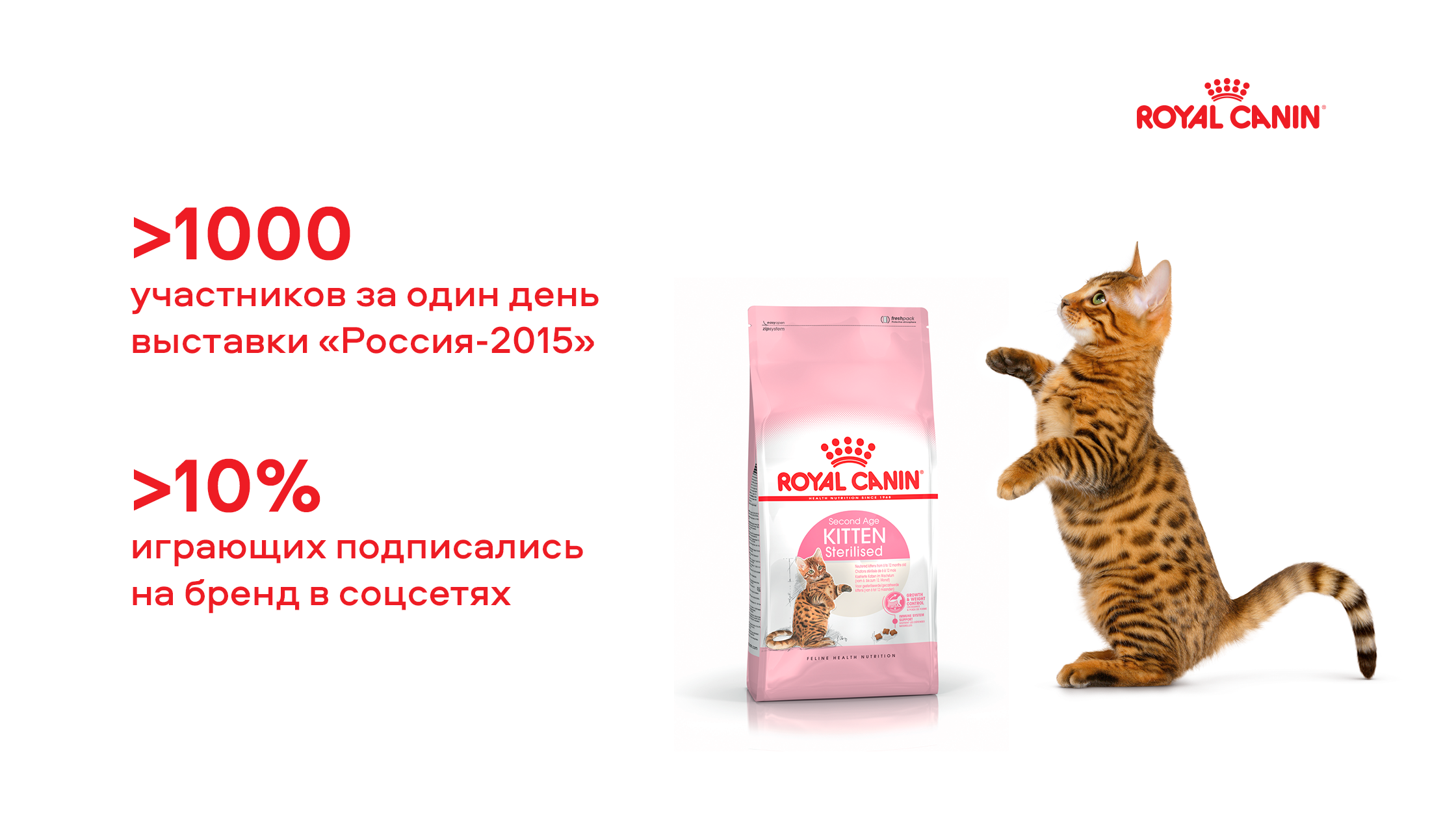 Fistashki: Занимательная офлайн-игра для Royal Canin